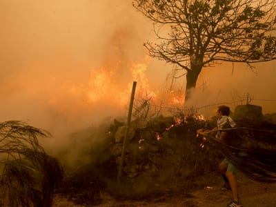 Ateou fogueira que acabou em incêndio florestal - TVI