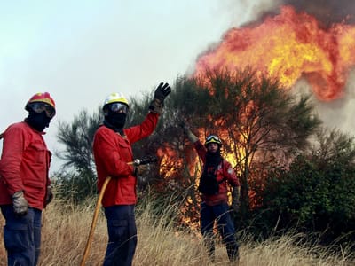 Bombeiros combatem quatro fogos na Guarda - TVI