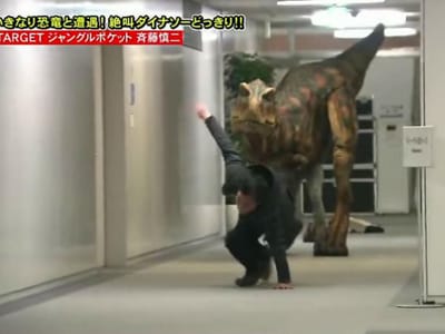 Homem em pânico cai a fugir de dinossauro - TVI