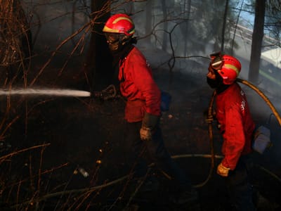 Sete concelhos em risco muito elevado de incêndio - TVI