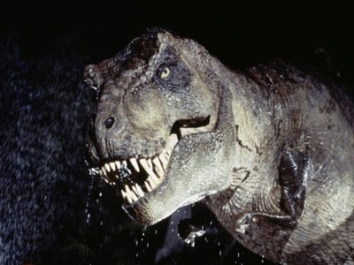 T-Rex tinha a língua colada no fundo da boca - TVI