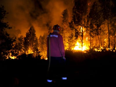 Mais de 300 bombeiros combatem cinco incêndios no norte do país - TVI