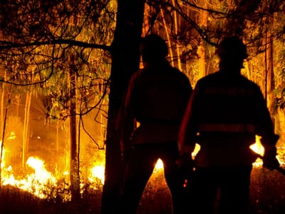 «Imputar culpa aos bombeiros é despropositado» - TVI