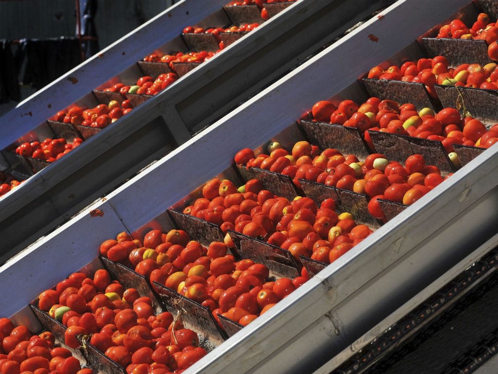 Fábrica de tomate em Águas de Moura (Lusa/Rui Minderico)