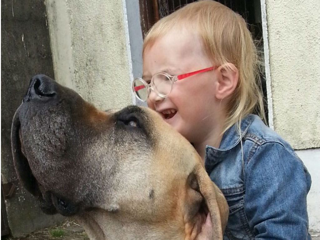 Cão ajuda a prever ataques epiléticos de menina de três anos (Foto reprodução Facebook Arabella Scanlan)
