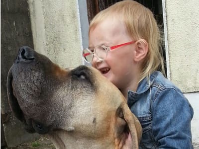 Cão prevê ataques epiléticos de menina de três anos - TVI