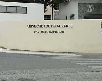 Deputados do PSD pedem inclusão da Universidade do Algarve no programa +Superior - TVI