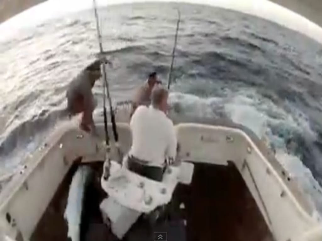 Vídeo mostra marlim azul a saltar para barco de pescadores (Foto Reprodução/YouTube)