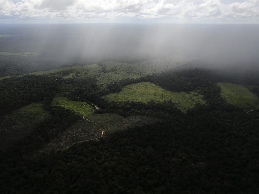 Desflorestação da Amazónia volta a aumentar (Reuters)