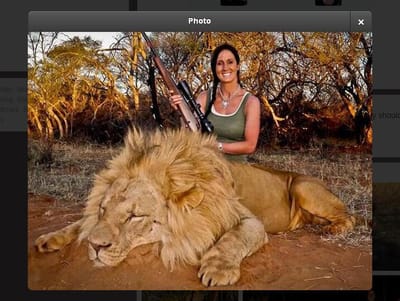 Apresentadora mata leão e provoca polémica - TVI
