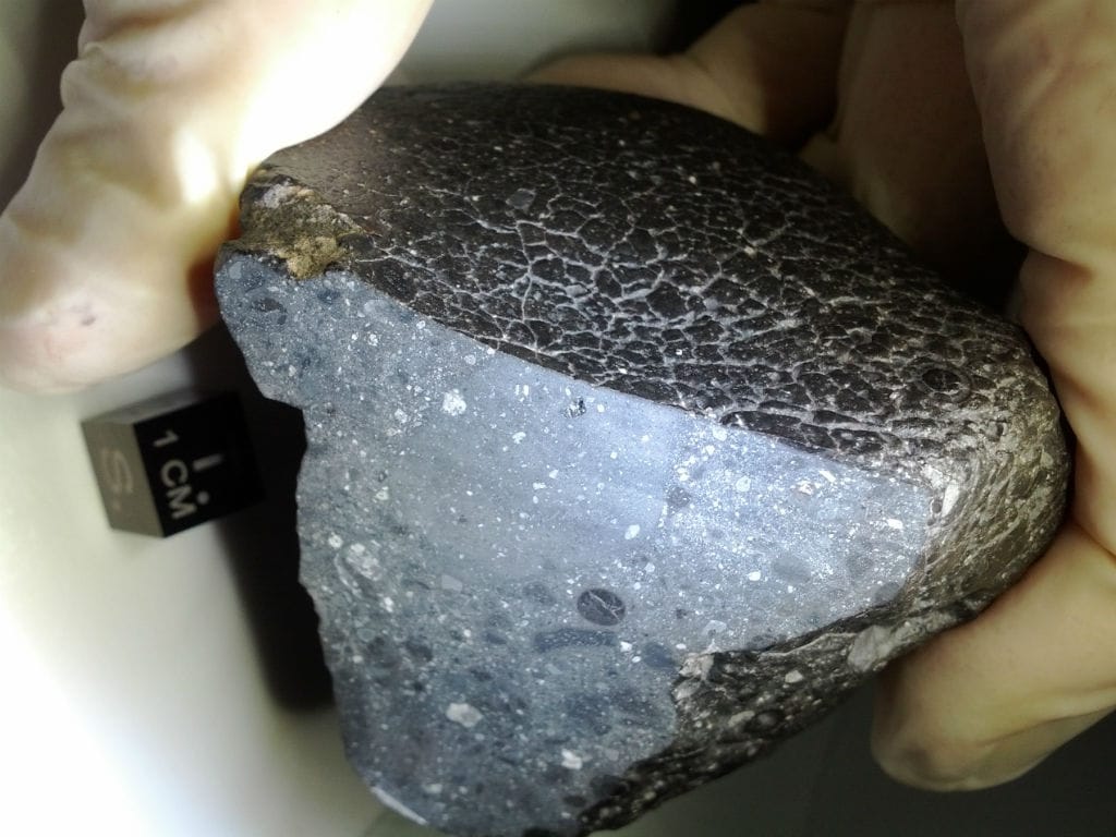 Black Beauty, meteorito vindo de Marte (Foto NASA)