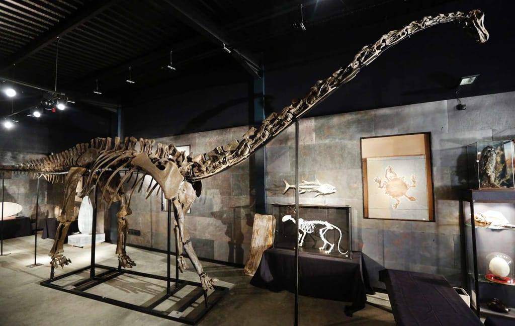 Esqueleto completo de dinossauro diplodoco vendido em Londres (REUTERS/Luke MacGregor)