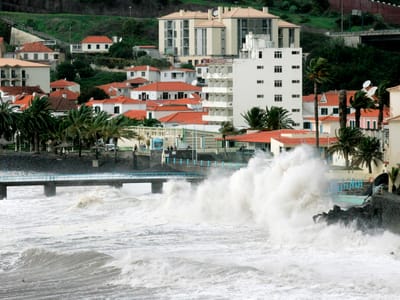 Madeira: mau tempo faz cair árvores, cancela voos e fecha escola - TVI