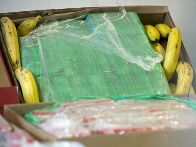 Porto de Setúbal: bananas da Costa Rica escondiam 350 quilos de cocaína - TVI