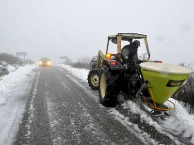 Queda de neve: EN2 reaberta entre Castro Daire e Lamego - TVI