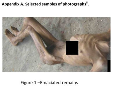 Síria: governo diz que fotografias de tortura são «falsas» - TVI
