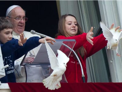 Pombas soltas pelo Papa Francisco apanhadas por gaivota e corvo - TVI