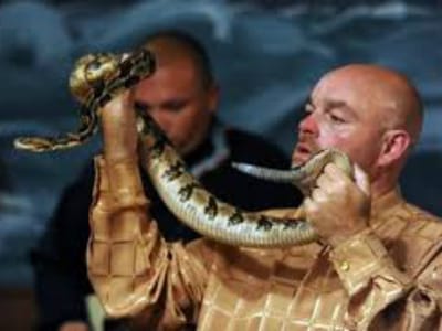 Pastor encantador de serpentes morre após mordida - TVI