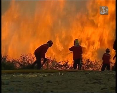 Mais de 60 bombeiros combatem chamas em Ferreira do Zêzere - TVI