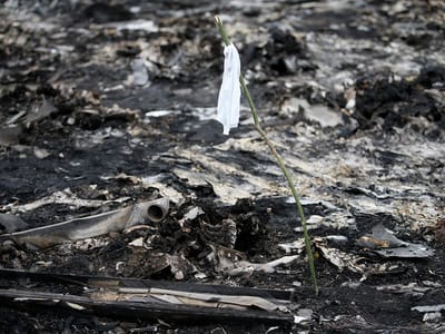MH17: afinal não morreram 100 peritos em Sida - TVI