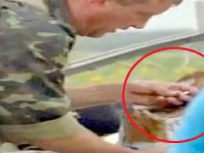 Rebelde acusado de roubar anel de ouro de vítima do voo MH17 - TVI