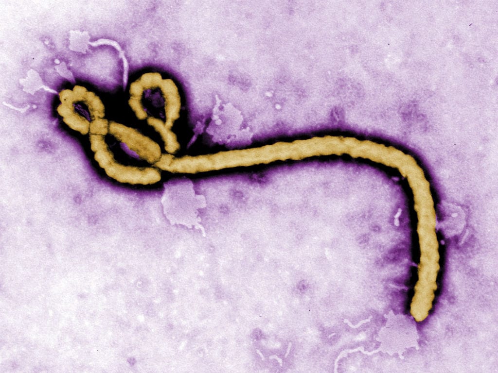 Ébola (Reuters)