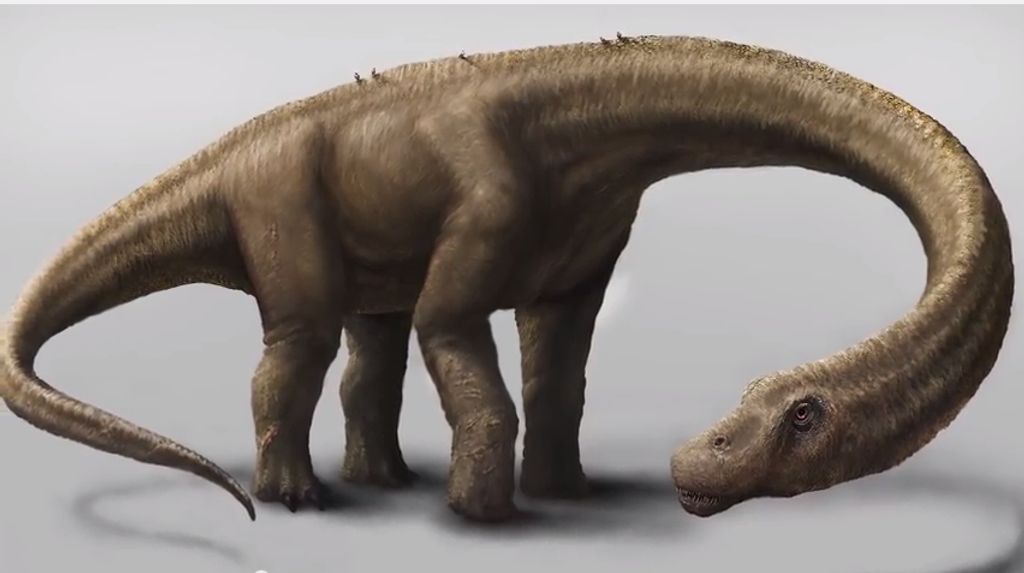 «Dreadnoughtus schrani» viveu há 77 milhões de anos na Patagónia