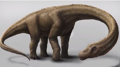 Descoberto o dinossauro «que não tinha medo de nada» - TVI