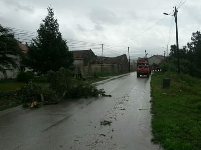 Inundações e quedas de árvores em Alcobaça - TVI