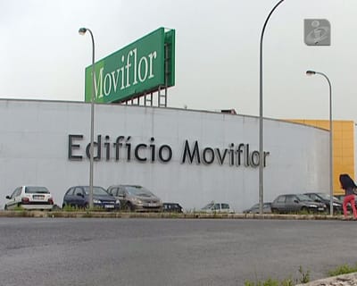 Moviflor: Sindicato diz que fecho de lojas é «ilegal» e faz queixa - TVI