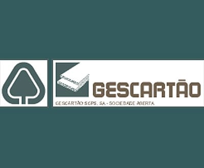 CMVM suspende Gescartão à espera de informação relevante - TVI