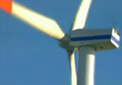 Mercado de renováveis está «extremamente inflacionado» - TVI