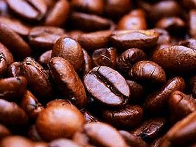 Café pode estar à beira da extinção - TVI