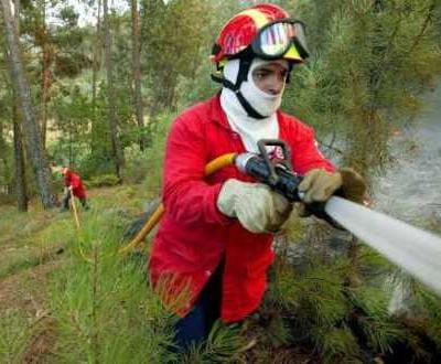 Serra do Ameal: fogo consumiu 300 hectares - TVI