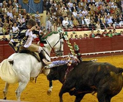 Portugal condenado por permitir touros de morte - TVI