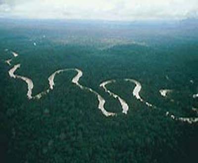 Tribos amazónicas protestam contra barragens hidroeléctricas - TVI