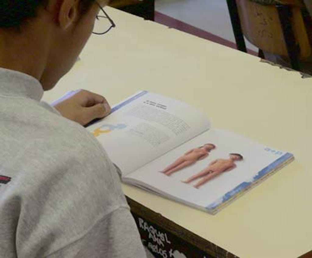 Aluno consulta o manual durante uma aula de educação sexual (Fotografia de Marta Sofia Ferreira)