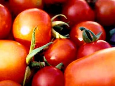 Tomates são amigos da pele - TVI