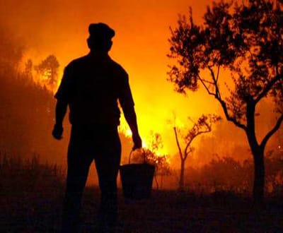 Palmela: sete corporações de bombeiros combatem fogo - TVI