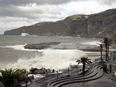 Empresas estrangeiras saem da Madeira - TVI