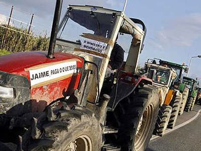 Agricultores entregam 1.500 processos contra o Estado - TVI