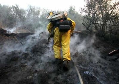 Fogo destrói um milhar de casas na Califórnia - TVI