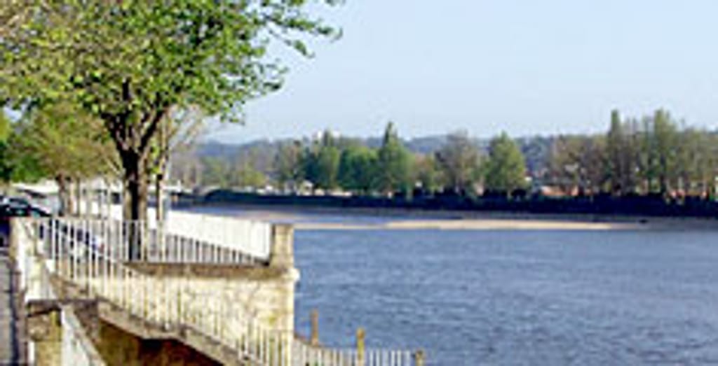 rio Mondego