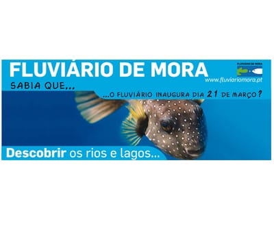 Venha ver anacondas no Fluviário de Mora - TVI