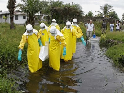 Ébola: «É como pensar que um tigre de estimação está sob controlo» - TVI