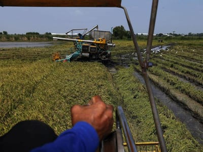 Estudo europeu deteta falhas na agricultura portuguesa - TVI