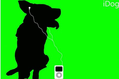 O seu cão sofre de ansiedade? Ofereça-lhe um iPod  - TVI