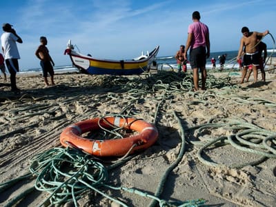 Pesca da sardinha interdita em Portimão já amanhã - TVI