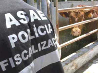 ASAE instaura 30 processos de contra ordenação a ginásios e solários - TVI