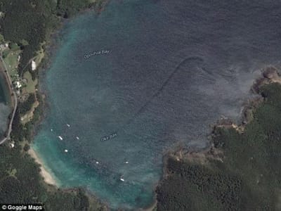 Google Earth mostra criatura misteriosa - TVI